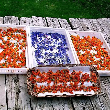 Clemaison Antica Dimora Cir Vda 0013 Appartement *