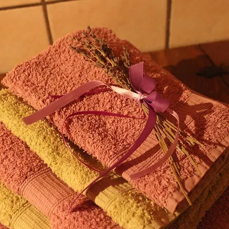 Clemaison Antica Dimora Cir Vda 0013 * Gignod