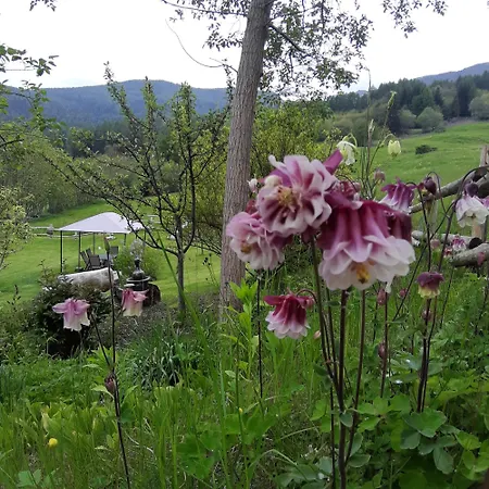 Clemaison Antica Dimora Cir Vda 0013 Appartement