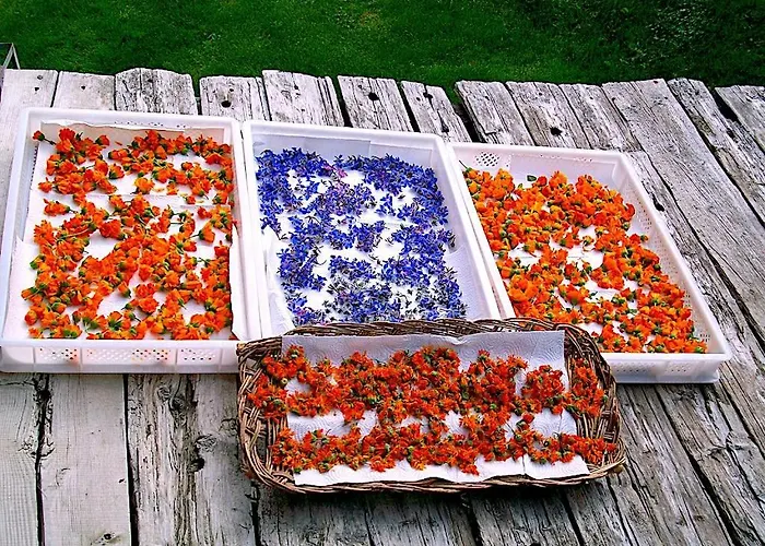 Clemaison Antica Dimora Cir Vda 0013 Apartment *