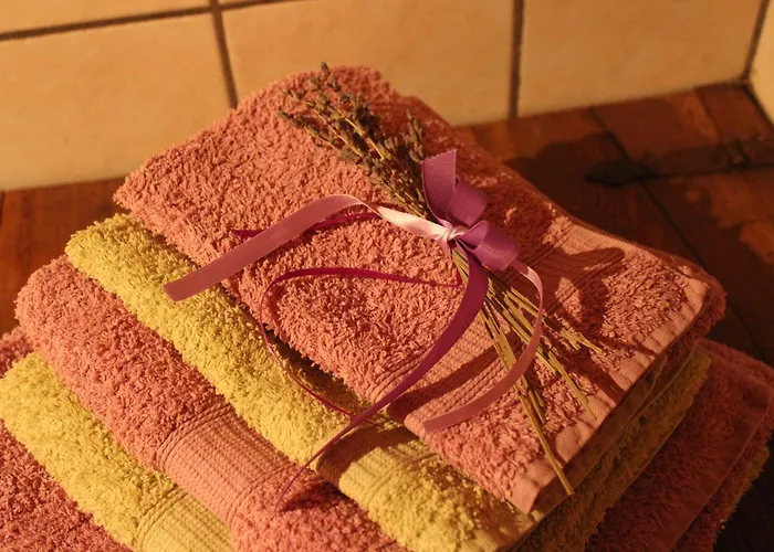 Clemaison Antica Dimora Cir Vda 0013 * Gignod