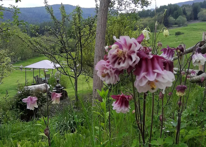 Clemaison Antica Dimora Cir Vda 0013 Apartment